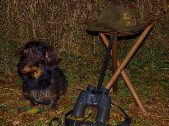 Z večerní čekané.