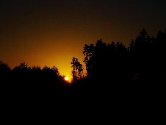 Z večerní čekané.