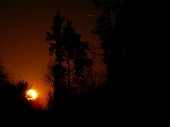 Z večerní čekané.