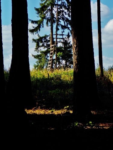 Z ranní šoulačky.