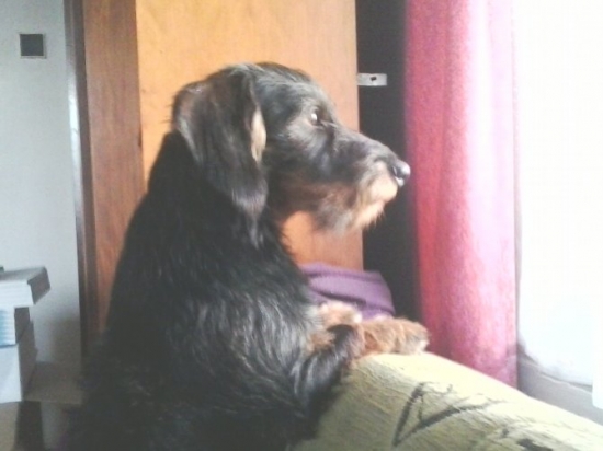 Kdo pak to k nám jde.