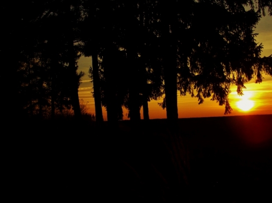 Z večerní čekané.