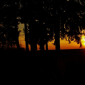 Z večerní čekané.