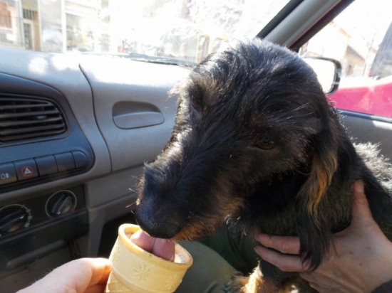 čokoládovou tu mám nejraděj.