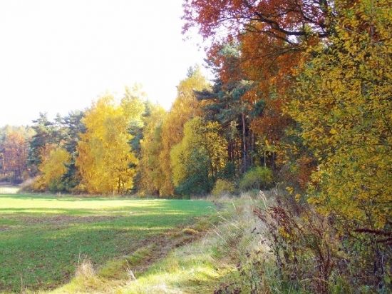 Z ranní šoulačky.