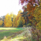 Z ranní šoulačky.