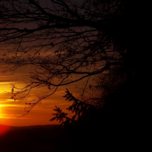 Z večerní čekané.