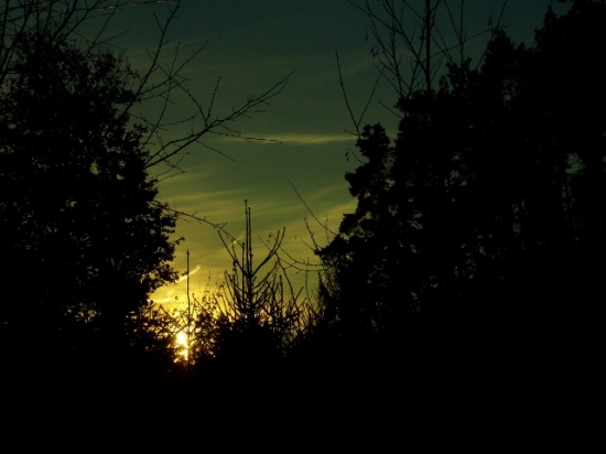 Z večerní čekané.