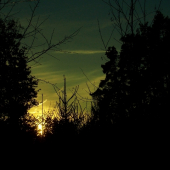 Z večerní čekané.