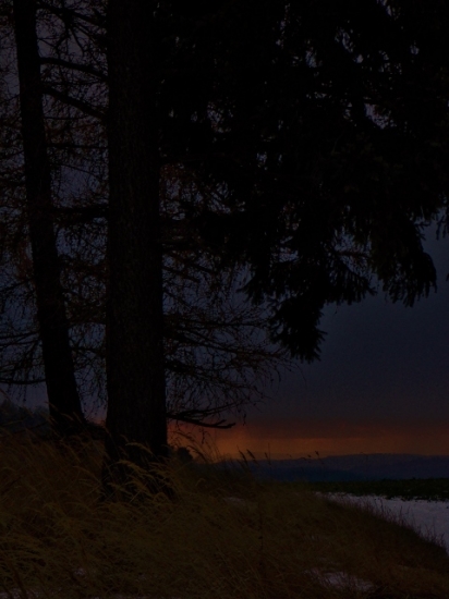 Z večerní čekané.