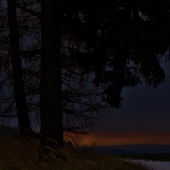 Z večerní čekané.