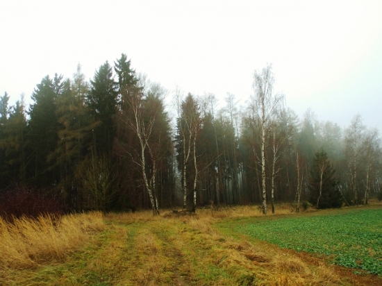 Z večerní čekané.