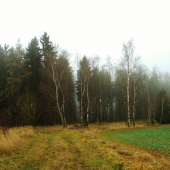 Z večerní čekané.