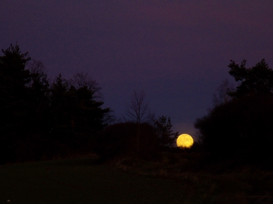 Z večerní čekané.