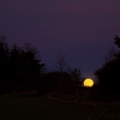 Z večerní čekané.