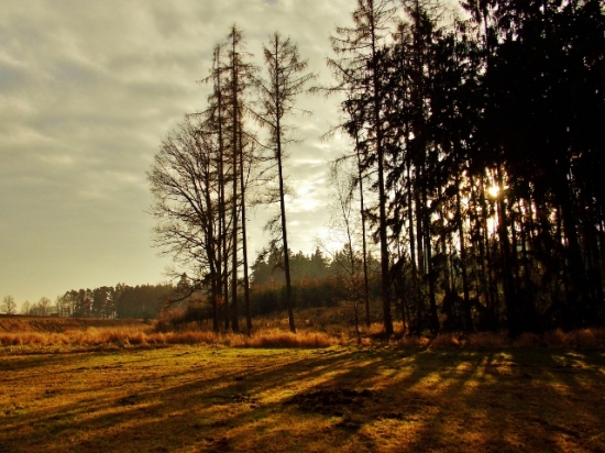 Z večerní čekané.