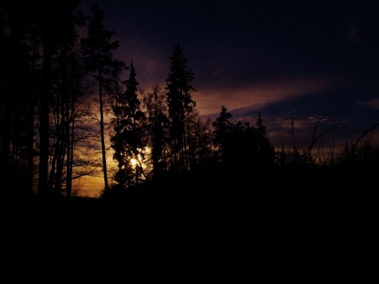 Z večerní čekané.