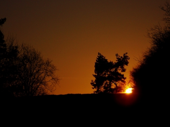 Z večerní čekané.