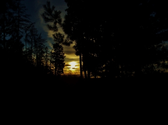 Z ranní šoulačky.