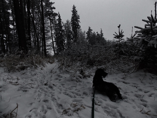 Z večerní šoulačky.