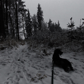 Z večerní šoulačky.