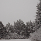 Z večerní čekané.