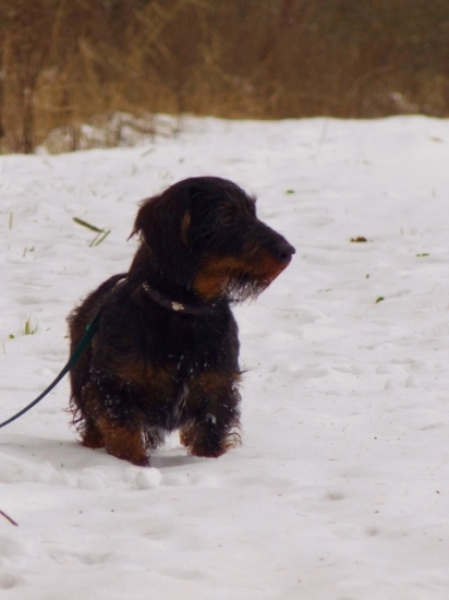 Z večerní šoulačky.
