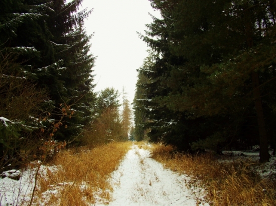 Z večerní šoulačky.