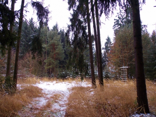 Z večerní šoulačky.