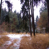 Z večerní šoulačky.