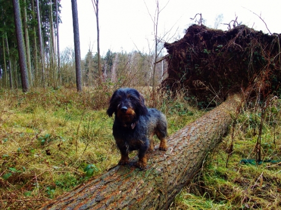 Z ranní šoulačky.