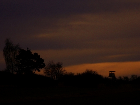 Z večerní šoulačky.