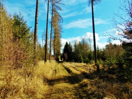 Z ranní šoulačky.