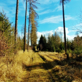 Z ranní šoulačky.