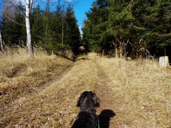Z ranní šoulačky.