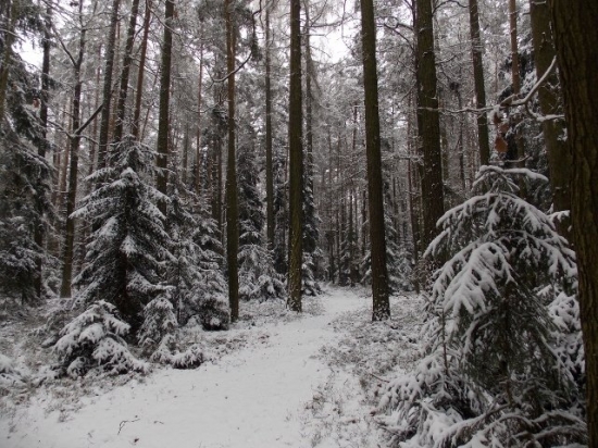 Z večerní čekané.