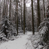 Z večerní čekané.