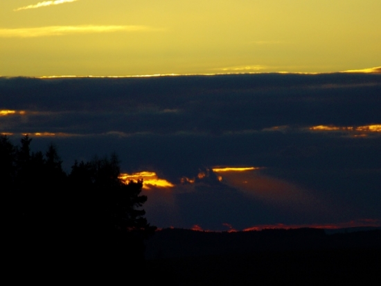 Z večerní čekané.