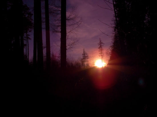 Z večerní šoulačky.