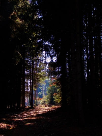 Z ranní šoulačky.