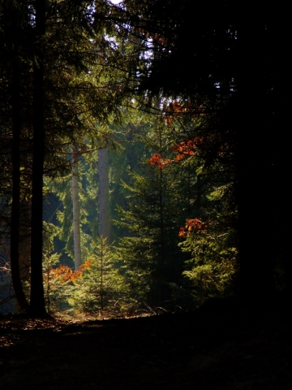 Z ranní šoulačky.