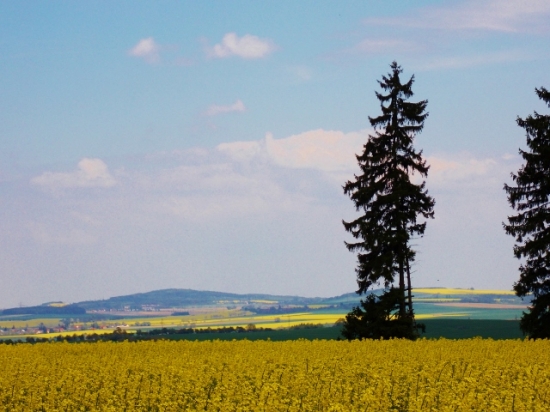 Z ranní šoulačky.