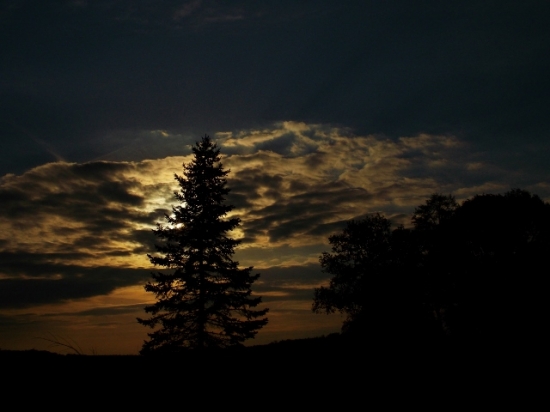 Z večerní čekané.