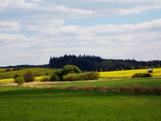 Z ranní šoulačky.