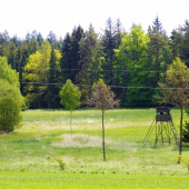 Ze šoulačky.