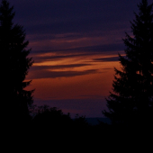 Z večerní čekané.