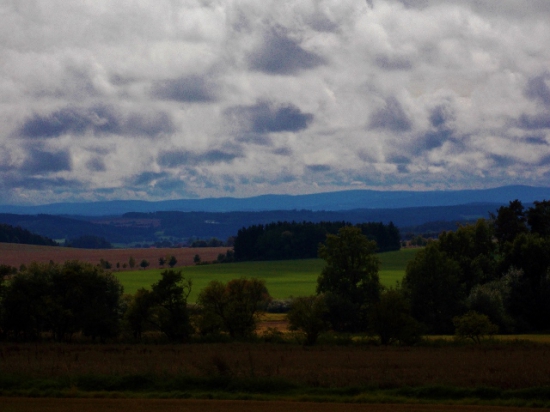 Deštivá čekaná.