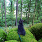 Z večerní čekané.