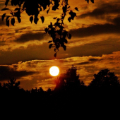 Z večerní čekané.