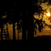 Z večerní čekané.